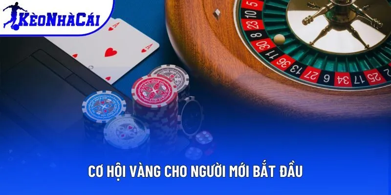 Bước đệm tuyệt vời cho người mới nhập cuộc