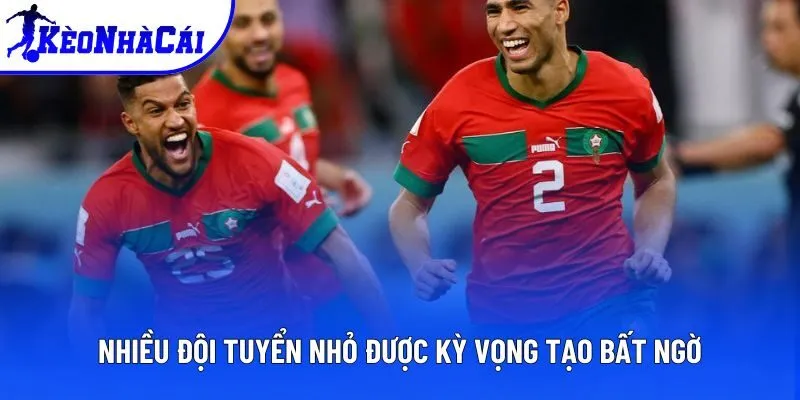 Nhiều đội tuyển nhỏ được kỳ vọng tạo bất ngờ Nhiều đội tuyển nhỏ được kỳ vọng tạo bất ngờ